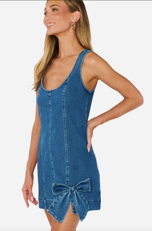 Bridgeport Bow Dress