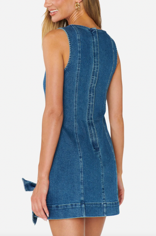 Bridgeport Bow Dress