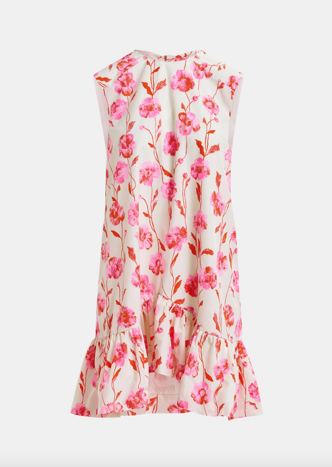 Hibernate Ruffle Mini Dress