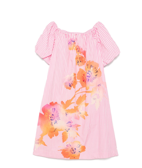 Horpio Foil Print Dress
