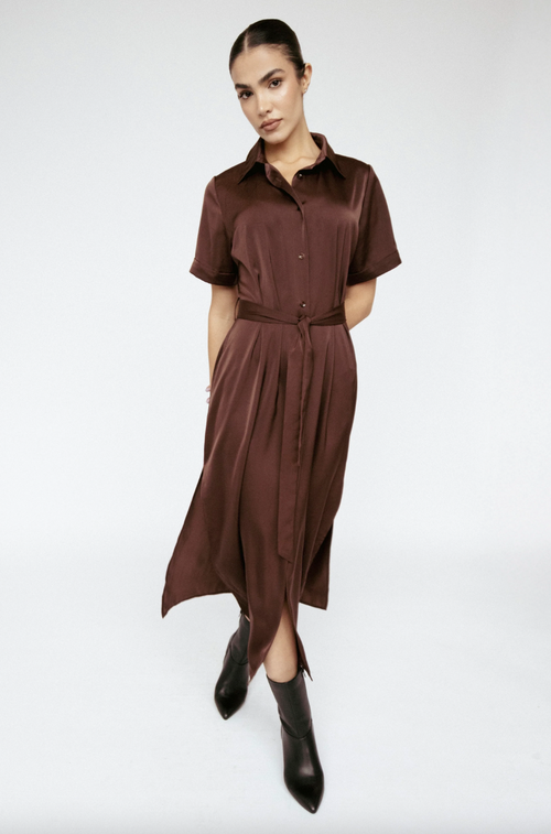 Satin Shirt Dress
