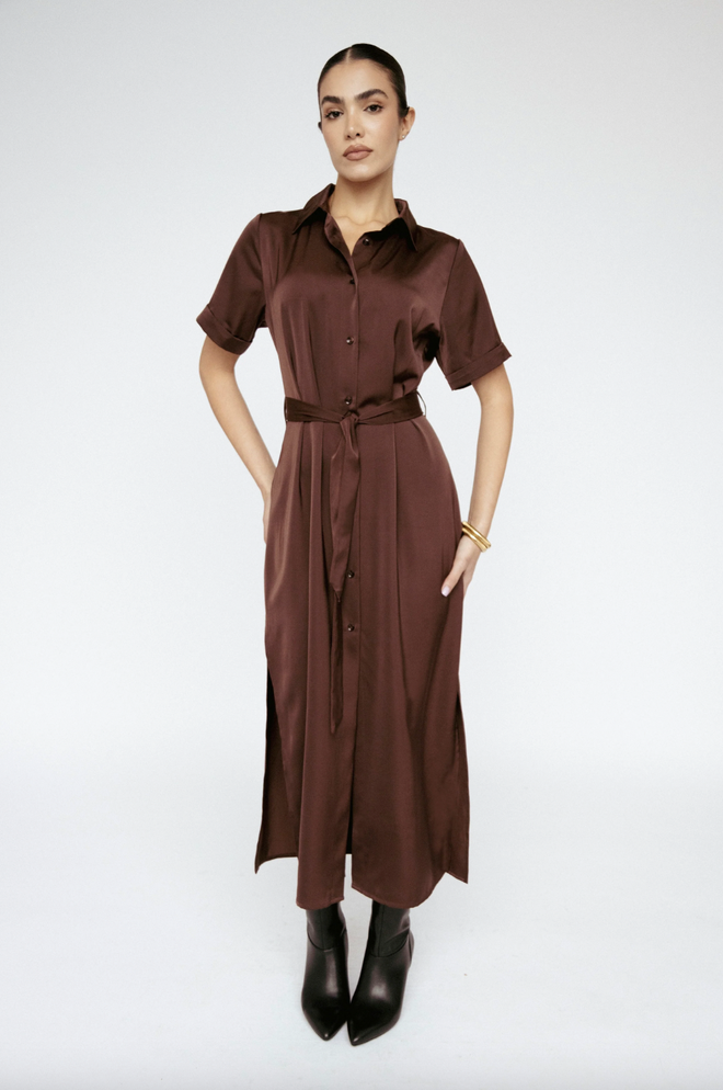 Satin Shirt Dress