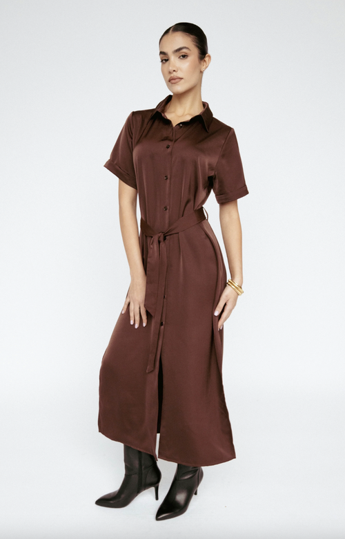 Satin Shirt Dress