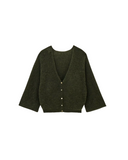 Isaac Cardigan
